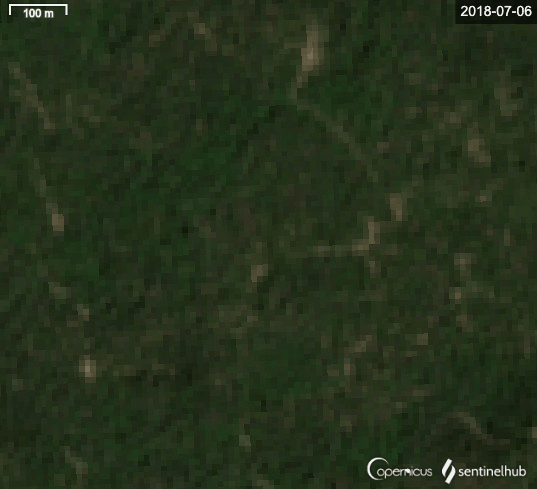 Forest Fire Simulation